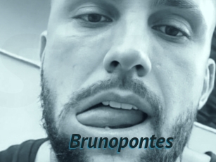 Brunopontes