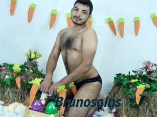 Brunosains