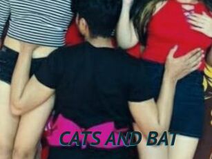 CATS_AND_BAT