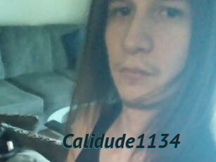 Calidude1134