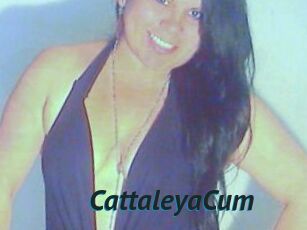 CattaleyaCum