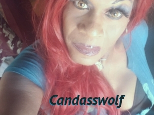 Candasswolf