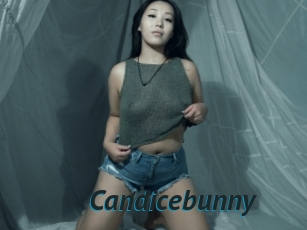 Candicebunny