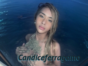 Candiceferragamo