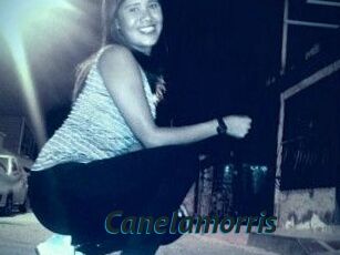 Canelamorris