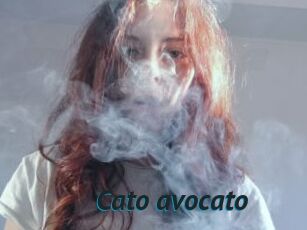 Cato_avocato