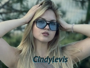 Cindylevis