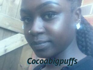 Cocoabigpuffs