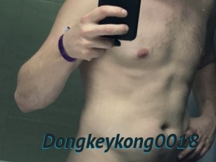 Dongkeykong0018