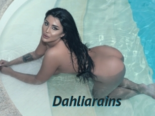 Dahliarains