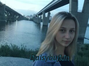 Daisybufkin