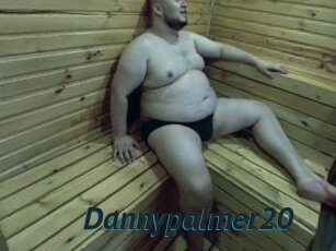 Dannypalmer20