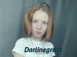 Darlinegrass