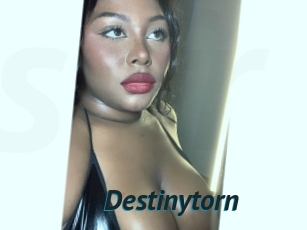 Destinytorn