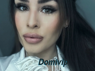 Domivip