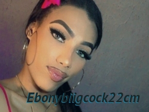 Ebonybiigcock22cm