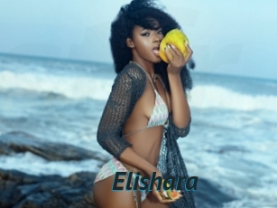 Elishara