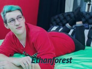 Ethanforest