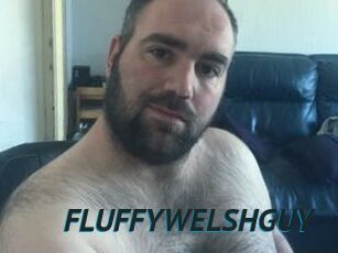 FLUFFYWELSHGUY