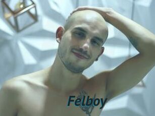 Felboy