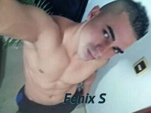 Fenix_S