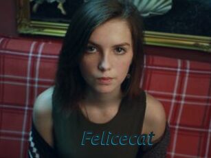 Felicecat