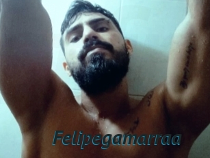 Felipegamarraa