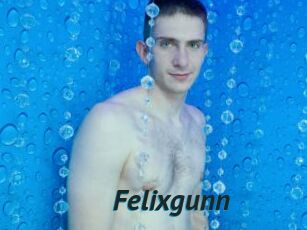 Felixgunn