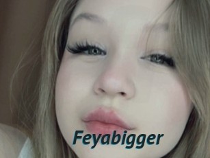 Feyabigger