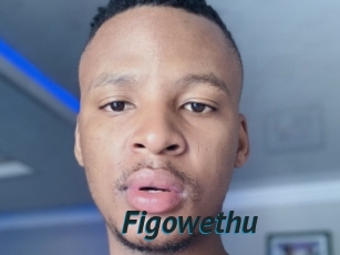 Figowethu