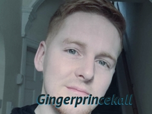 Gingerprincekall