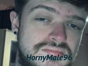 HornyMale96