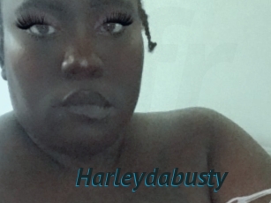 Harleydabusty