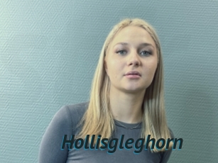 Hollisgleghorn