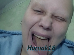 Hornak18