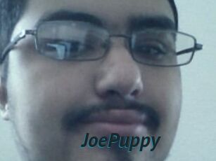 JoePuppy