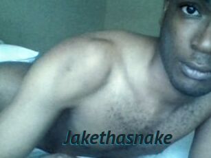 Jake_tha_snake