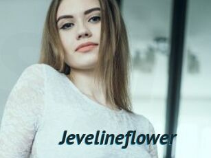 Jevelineflower