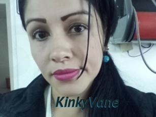 KinkyVane