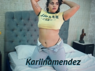 Kariinamendez