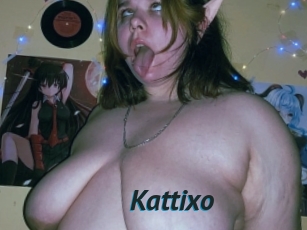 Kattixo