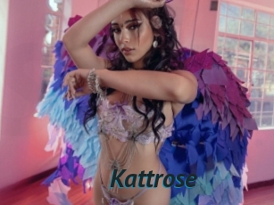 Kattrose