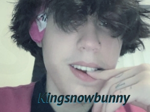 Kingsnowbunny