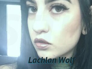 Lachlan_Wolf