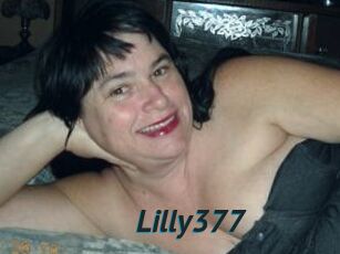 Lilly377