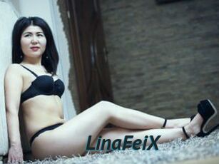 LinaFeiX