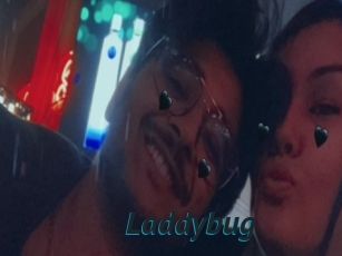 Laddybug