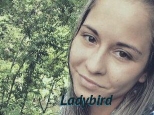 Ladybird