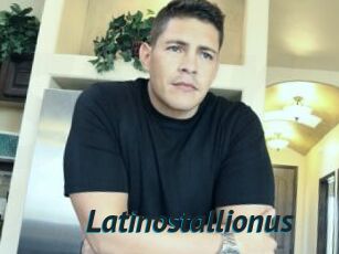 Latinostallionus