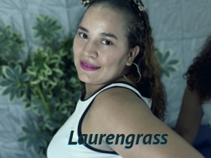 Laurengrass